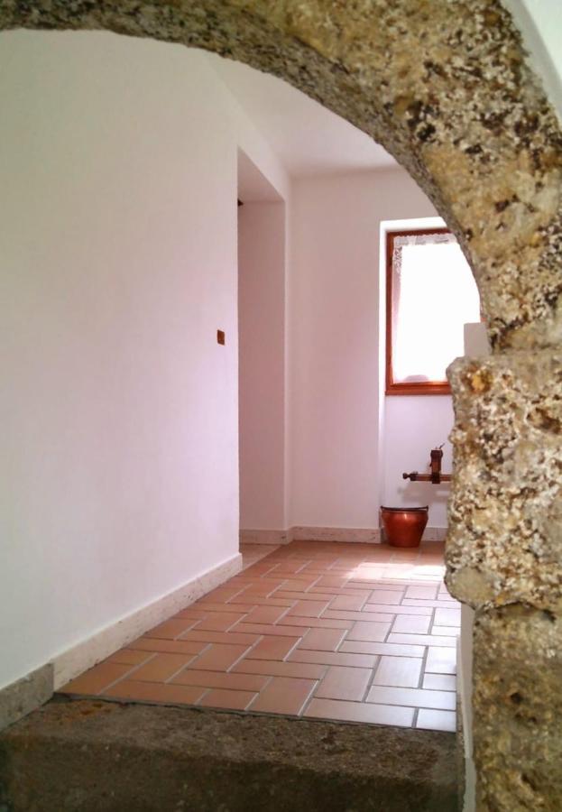 Appartement Cjasa Da Puci à Ovaro Extérieur photo