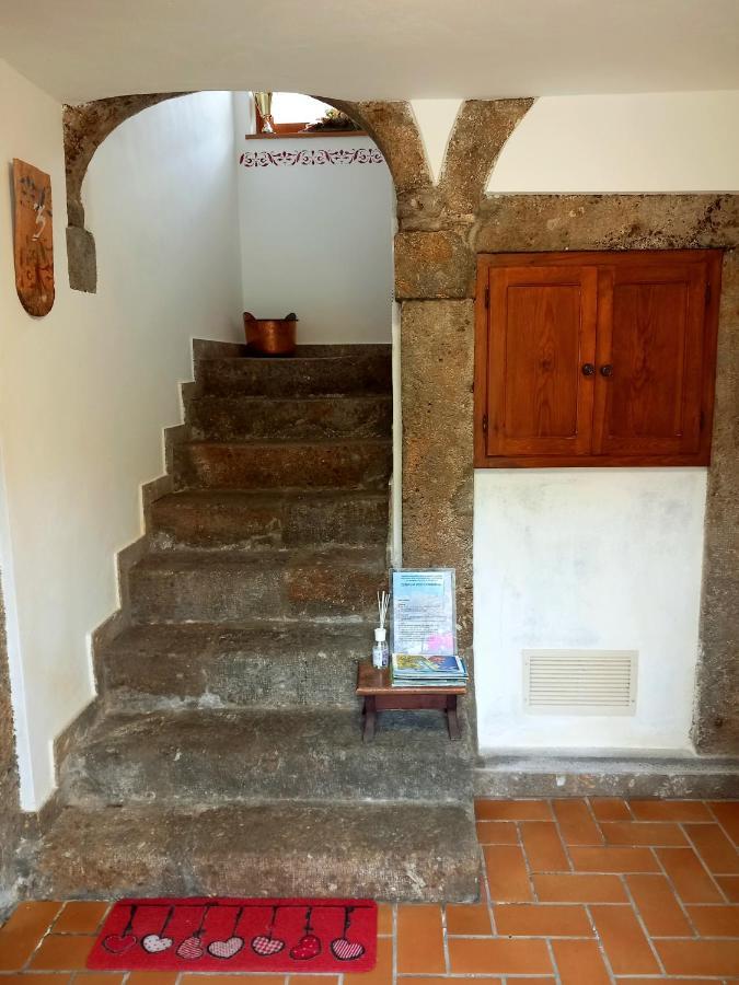 Appartement Cjasa Da Puci à Ovaro Extérieur photo