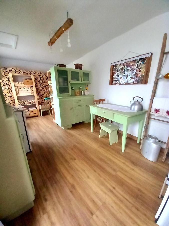 Appartement Cjasa Da Puci à Ovaro Extérieur photo